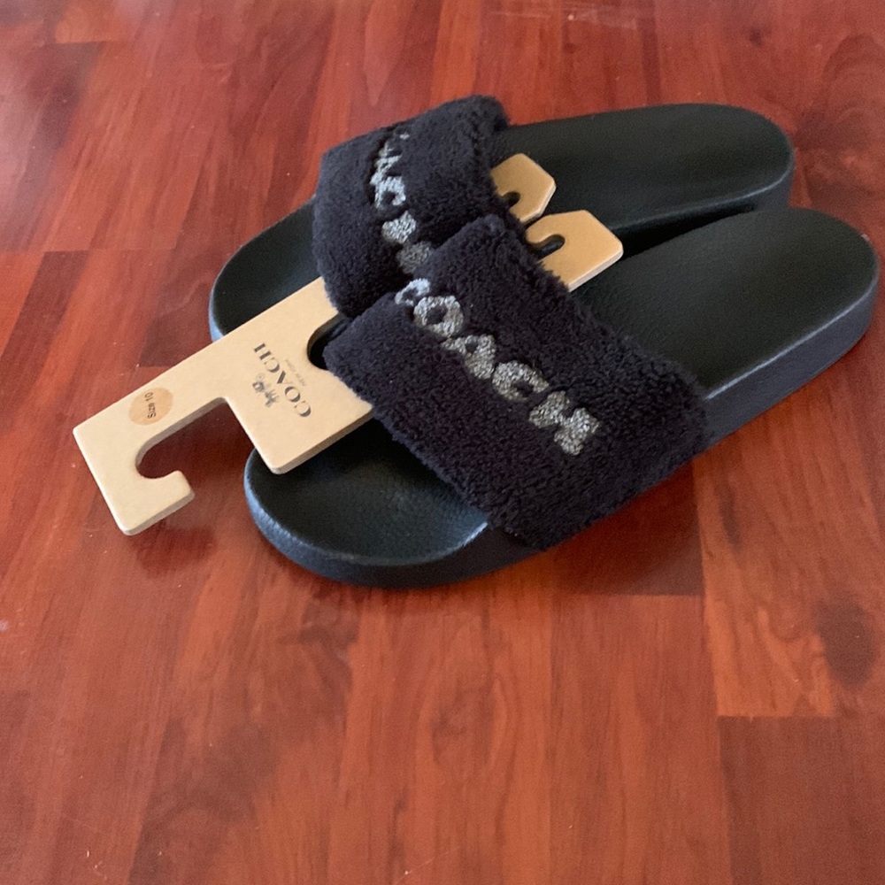 Authentic Coach slides